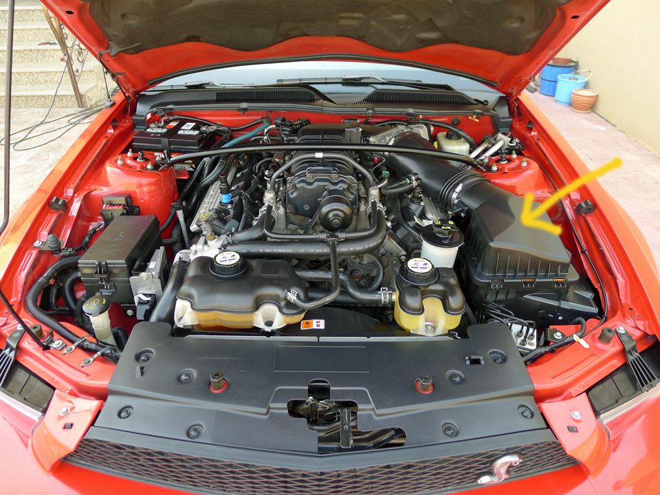CAI installation and engine bay shine Detailing World Forum